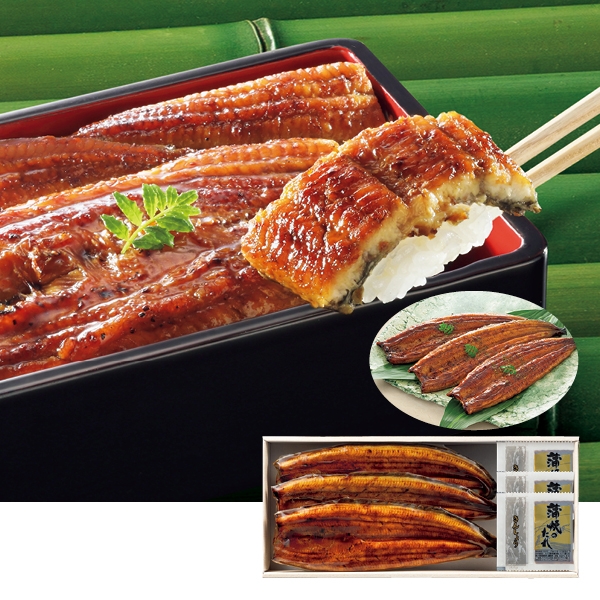 静岡県浜名湖産 うなぎ蒲焼3尾（024019） 商品サムネイル