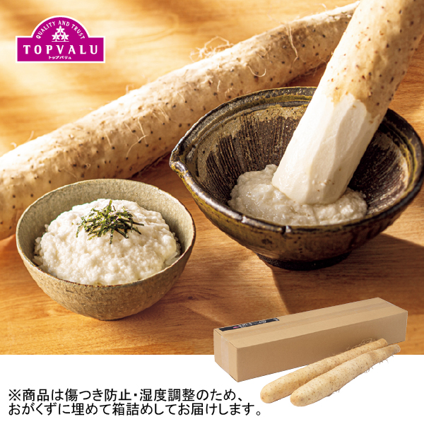 トップバリュ 青森県産ネバリスター（長いも）ギフト（077057）お届け期間：6/11～8/25 商品サムネイル