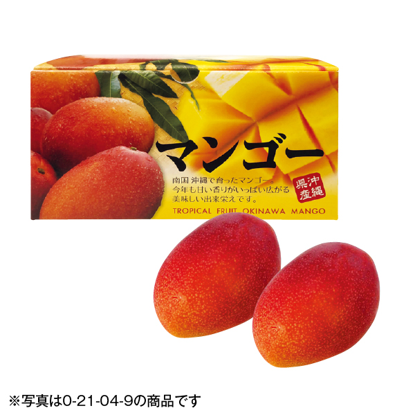 沖縄県産 アップルマンゴー（021030） 商品サムネイル