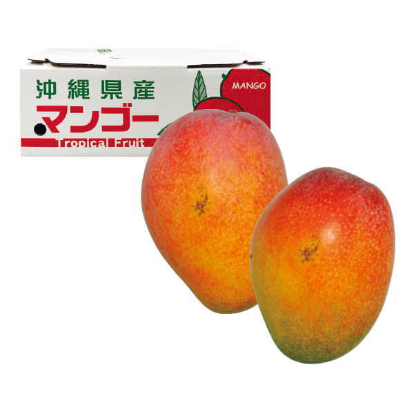 沖縄県産 わけありアップルマンゴー（自宅用）（176084） 商品サムネイル