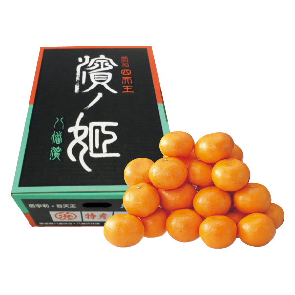 愛媛県産（JA西宇和八幡浜共選） 濱ノ姫（はまのひめ）みかん（014076）お届け期間：11/21～12/31 商品サムネイル