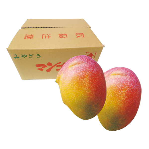 宮崎県産（JA西都） わけありマンゴー（自宅用）（176075） 商品サムネイル