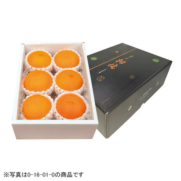 愛媛県産 紅まどんな（016029）お届け期間：11/21～12/31 商品サムネイル