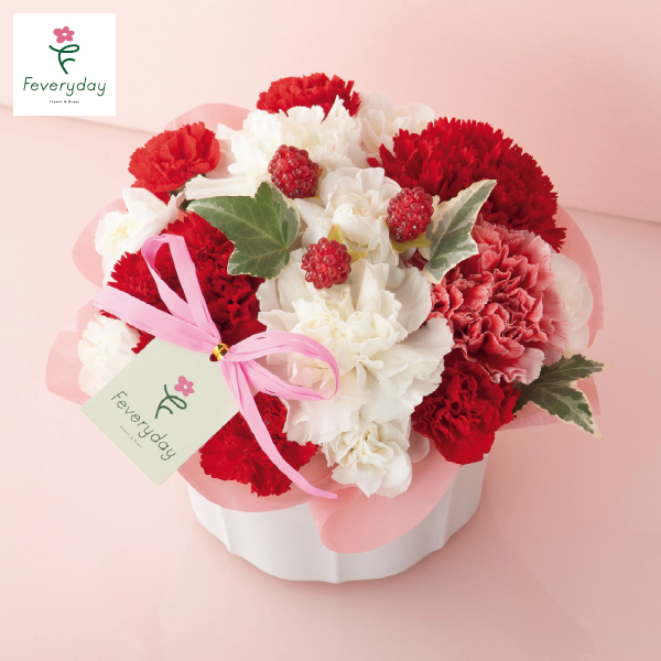 welzoFLOWER カーネーションアレンジ「ラズベリーパフェ」（480631） 商品サムネイル