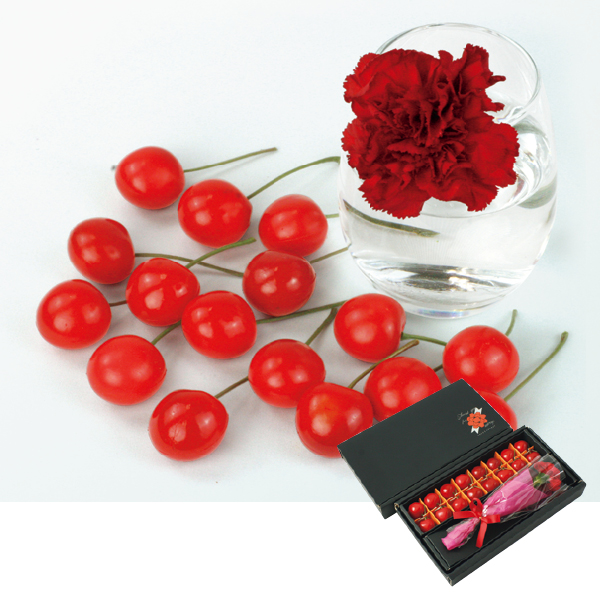 山形県産 さくらんぼ佐藤錦とカーネーション（480279） 商品サムネイル