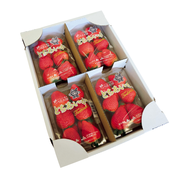 栃木県産（JAおやま） とちあいか（013086）お届け期間：12/1～12/30 商品サムネイル