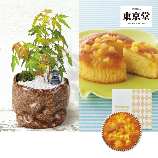 新月バラ園 親父の手（SUSTEE付）＋東京堂の焼き甘芋チーズケーキ（483179） 商品サムネイル