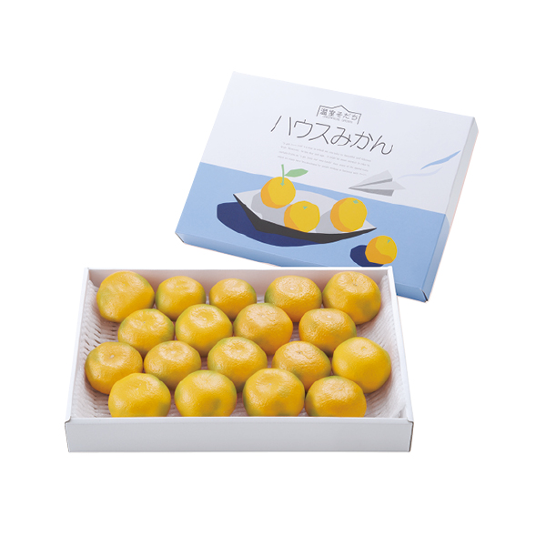 熊本県産 ハウスみかん（031091）お届け期間：7/2～8/5 商品サムネイル