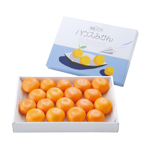 熊本県産 ハウスみかん（020040） 商品サムネイル