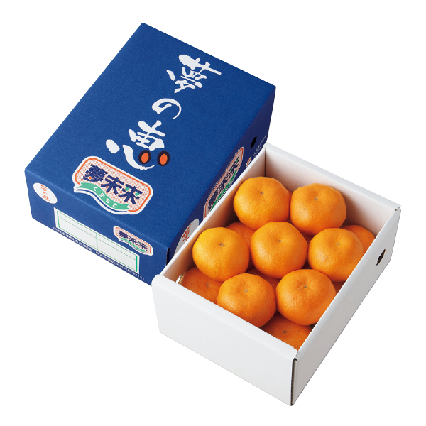 熊本県産 夢未来ハウスみかん（夢の恵）（020031） 商品サムネイル