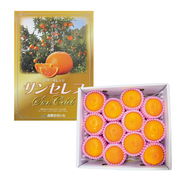大分県産 ゼリーオレンジ・サンセレブ（016092）お届け期間：11/25～12/31 商品サムネイル