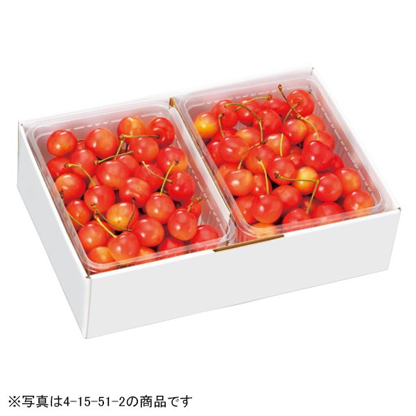 【ダイエーセレクション】北海道仁木町産 自信作 松山幸洋さんグループのさくらんぼ（紅秀峰）（415521） 商品サムネイル