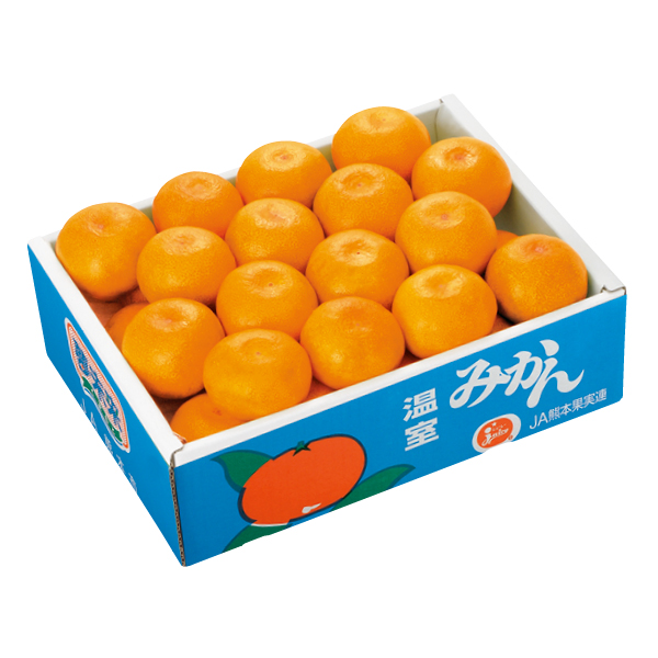 【ダイエーセレクション】熊本県産 夢未来ハウスみかん（415716） 商品サムネイル