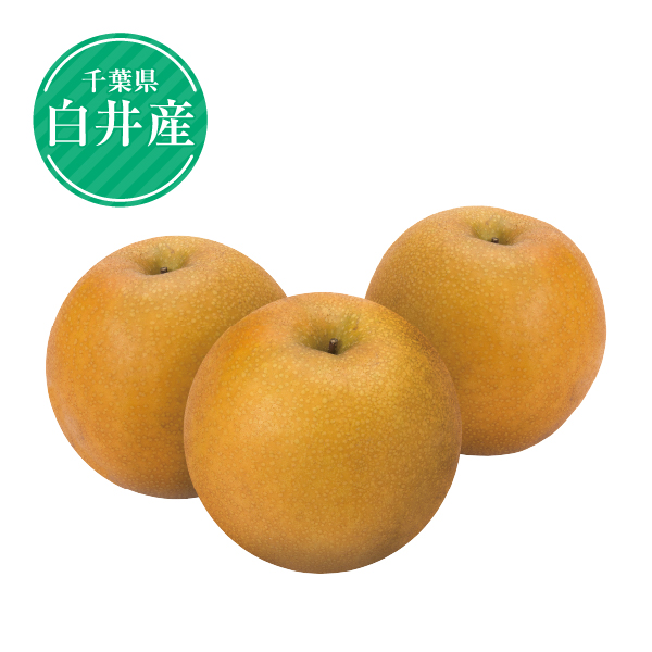 千葉県白井産　豊水梨2.5kg（7玉～8玉）（416405） 商品サムネイル