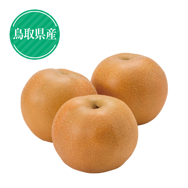 鳥取県産　 新甘泉・秋栄梨　詰合せ3Lサイズ各3玉（416593） 商品サムネイル