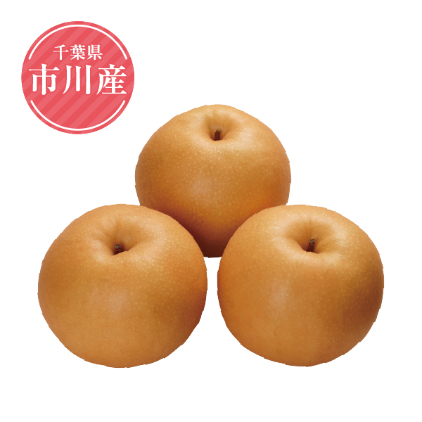 千葉県市川産　幸水梨2.5kg（6玉～8玉）（416292） 商品サムネイル