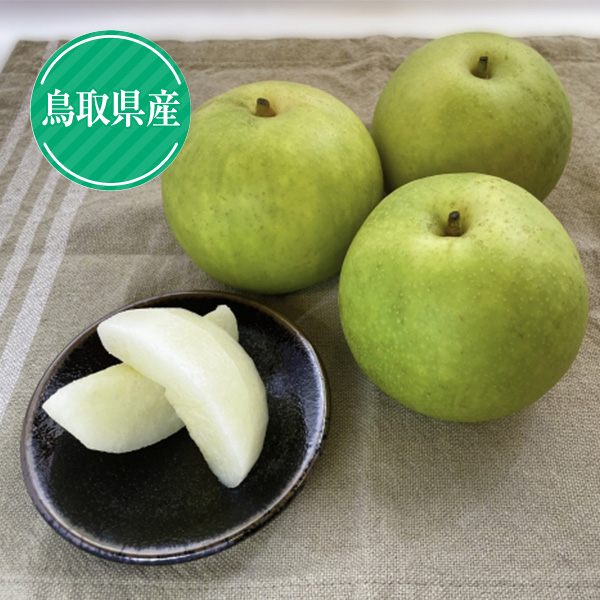 鳥取県産　二十世紀梨2Lサイズ16玉又は3Lサイズ14玉（416566） 商品サムネイル