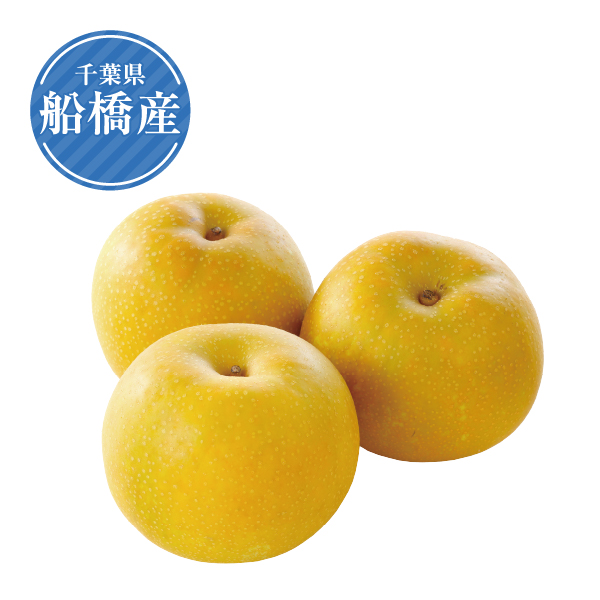千葉県船橋産　幸水梨5kg（16玉～18玉）（416423） 商品サムネイル