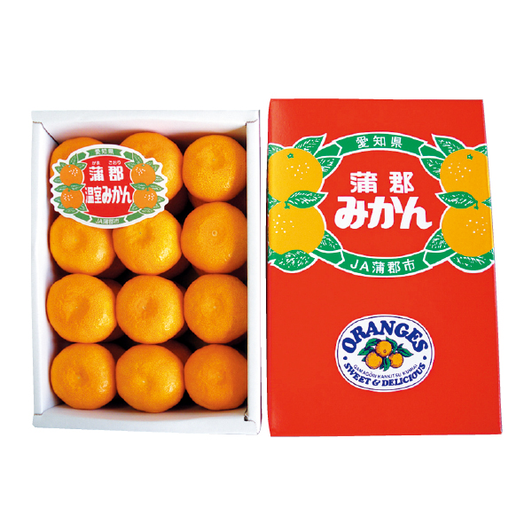愛知県産（JA蒲郡市） 蒲郡ハウスみかん（020022） 商品サムネイル