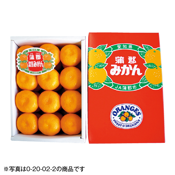 愛知県産（JA蒲郡市） 蒲郡ハウスみかん（020013） 商品サムネイル