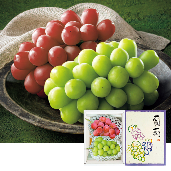 長野県産 2色ぶどう詰合せ（005023）お届け期間：11/11～12/31 商品サムネイル